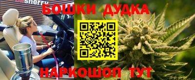 прущие крисы Донской